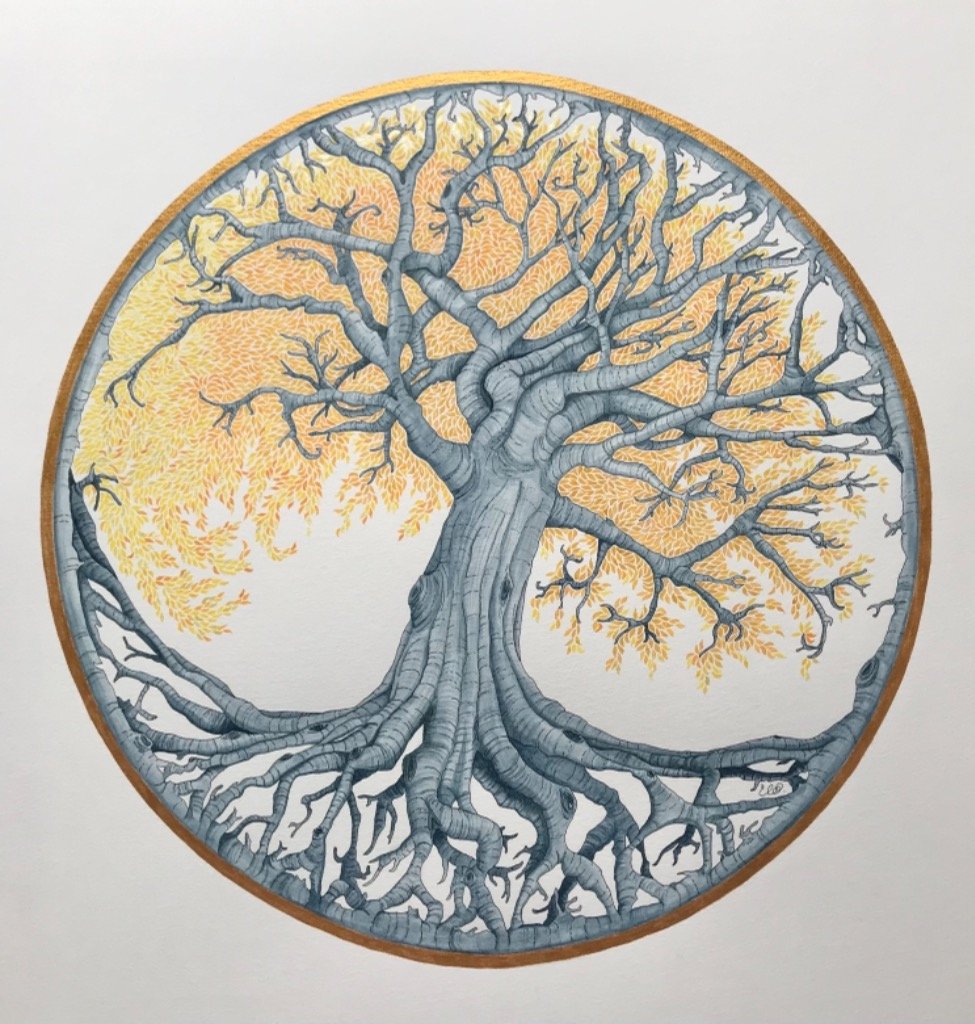 Arbre n°4